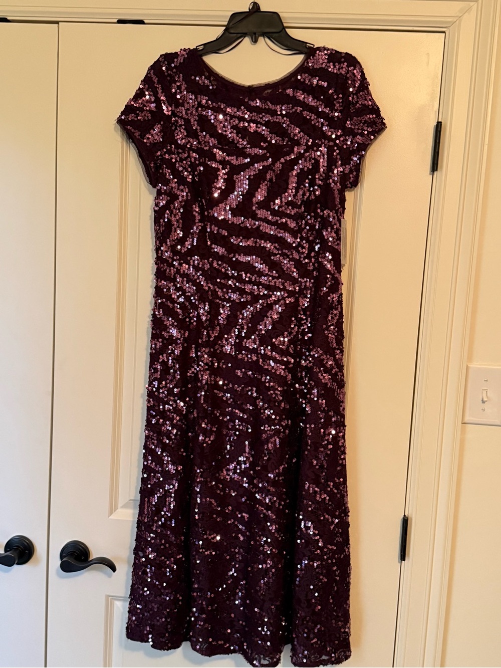 Sequin Fit & Flare Evening Dress in Deep Burgundy